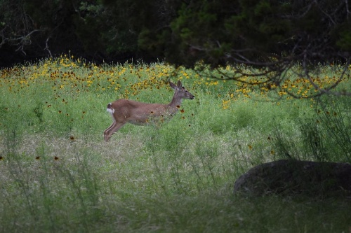 Lake-View All-Suite Retreat - Near Marina & Dining townhouse image 21